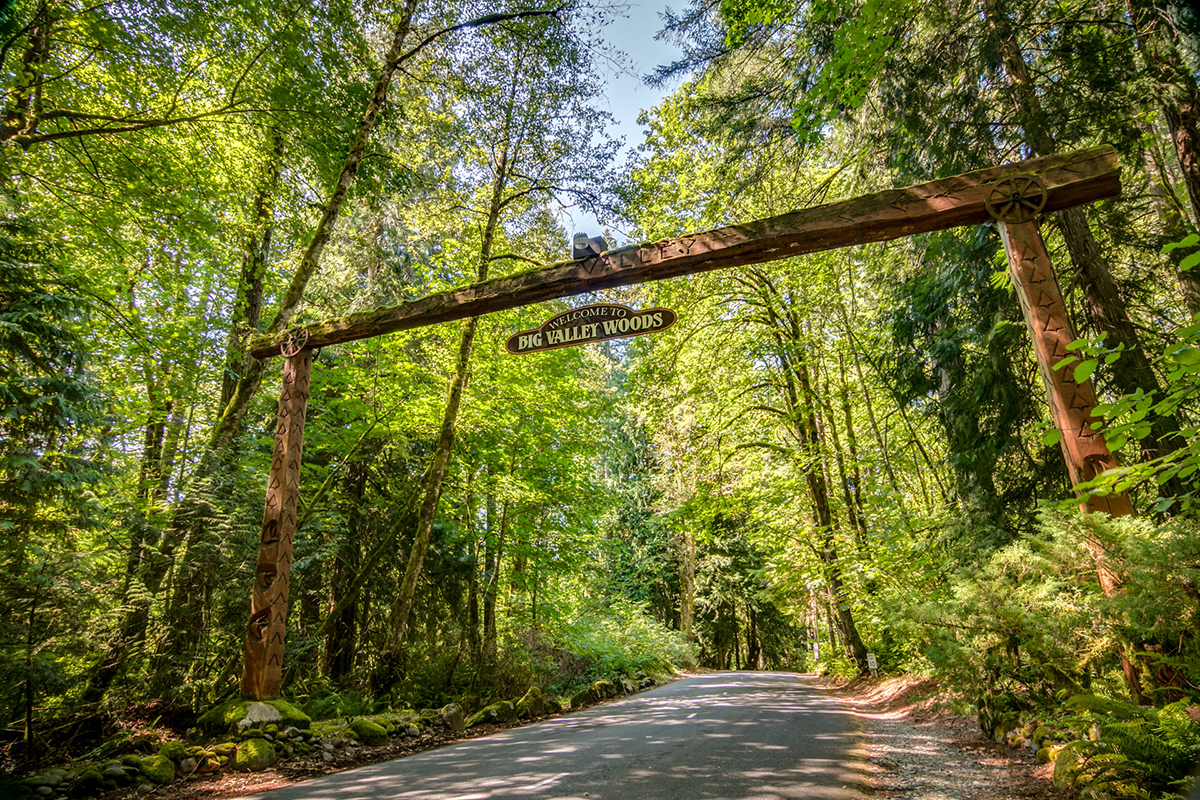 Home Page Big Valley Woods