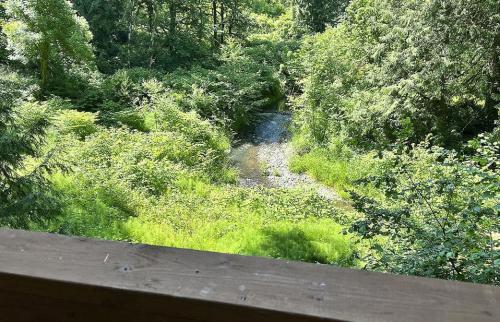 A view of a stream from a wooden deck.