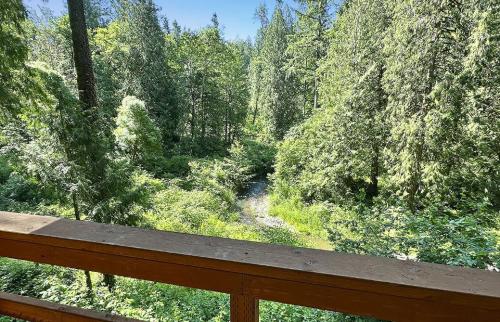 A view of the forest from a deck overlooking a stream.