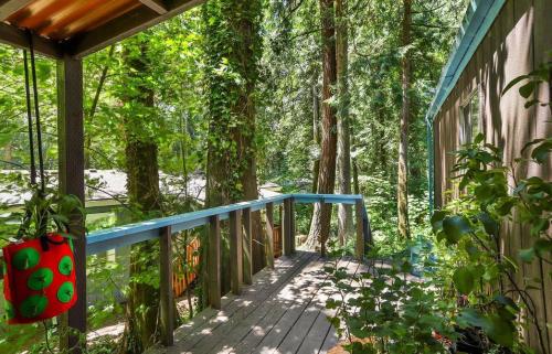 A deck with a blue railing and plants in the woods.