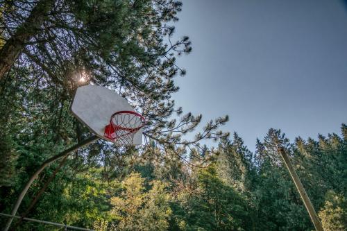 Big Valley Woods Basketball Court