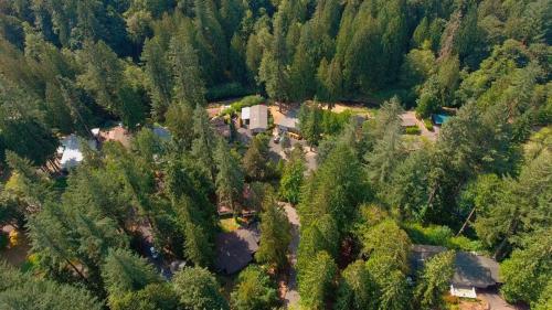 Big Valley Woods Community Aerial